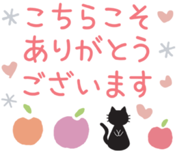 253209901