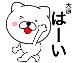 25321390
