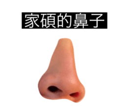 253225554