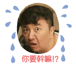 253225661