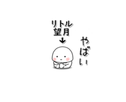 253237574