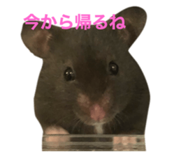 253254658