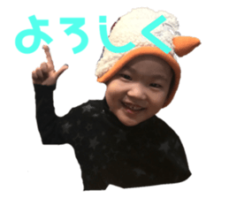 253256337