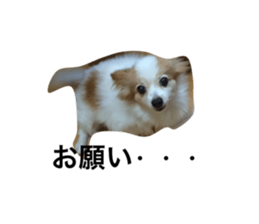 25326371
