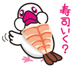 2535223