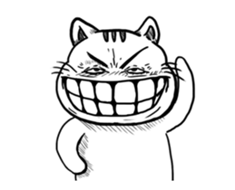 25353937