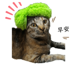 253579482
