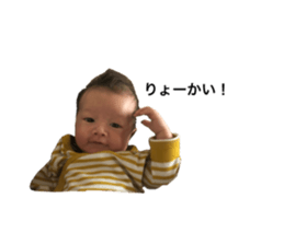 253595020