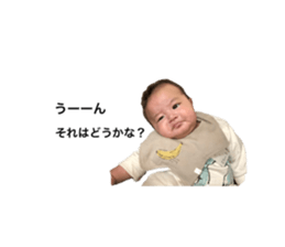 253595047