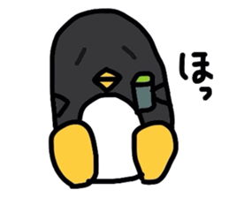 2535993