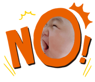 253623556