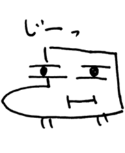 25363648