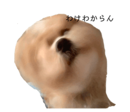 253655014