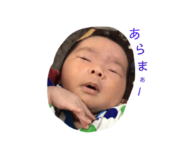 253658493