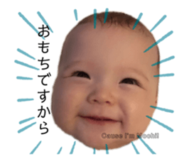 253659934