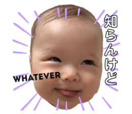 253659955