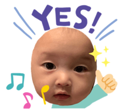 253663653