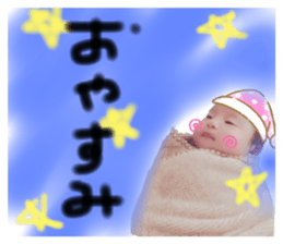 253666149