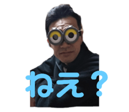 253667333