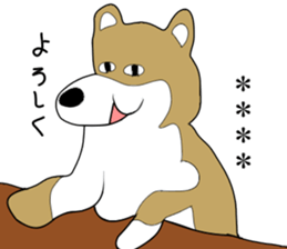 253679502
