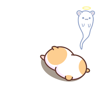 Latte the Hamster (Daily) รูปที่ 12