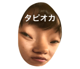 253683690