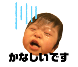 253684562