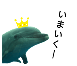 253684840