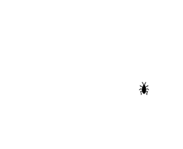 253697638