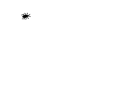253697639