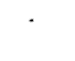 253697640