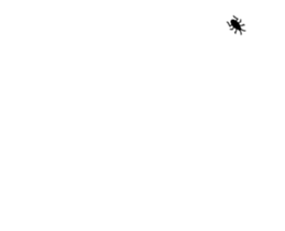 253697641