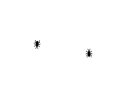 253697642