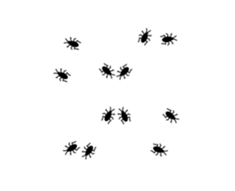 253697643