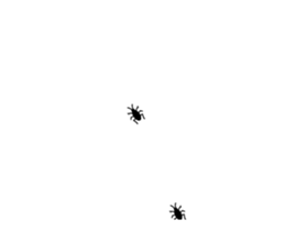 253697644