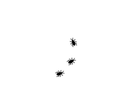 253697645