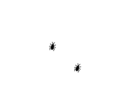 253697646