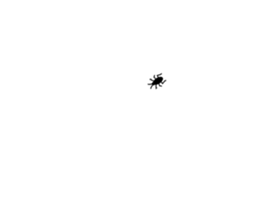 253697647