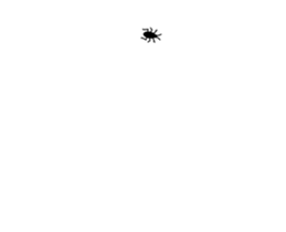 253697648