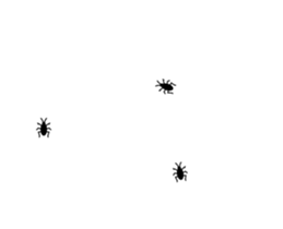 253697649