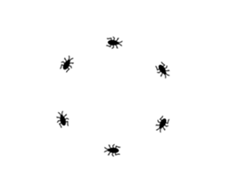 253697651