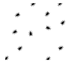 253697652