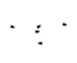 253697653