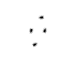 253697654