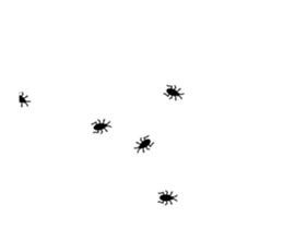 253697655