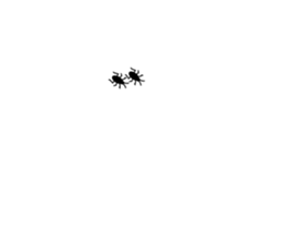 253697656