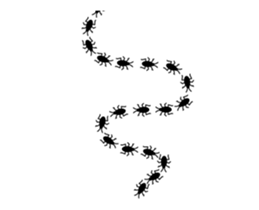 253697657