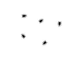 253697658