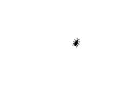253697659
