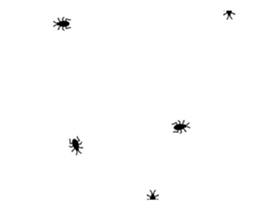 253697660